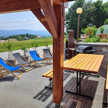Apartments Jernej With Onsite Wellness Brežice Exterior foto